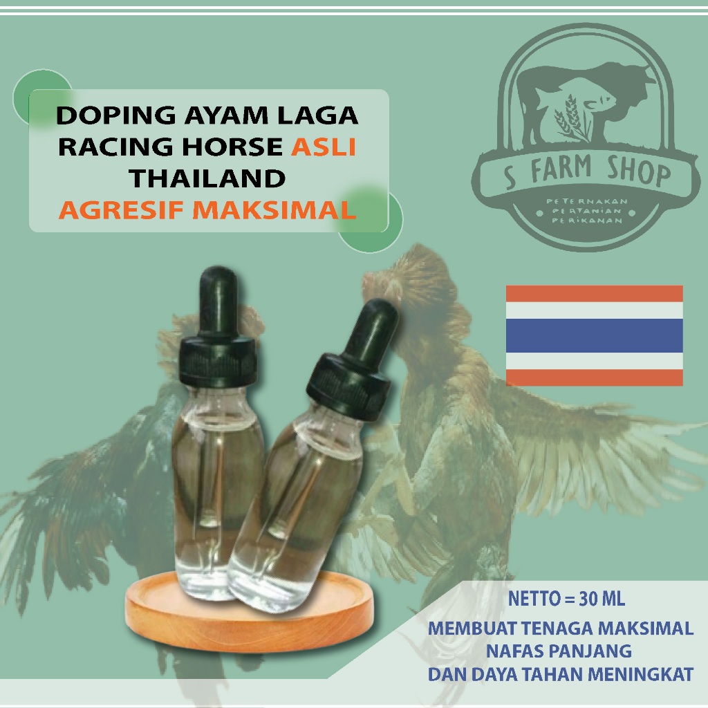 DOPING AYAM RACING HORSE ADUAN LAGA BANGKOK ASLI IMPORT THAILAND