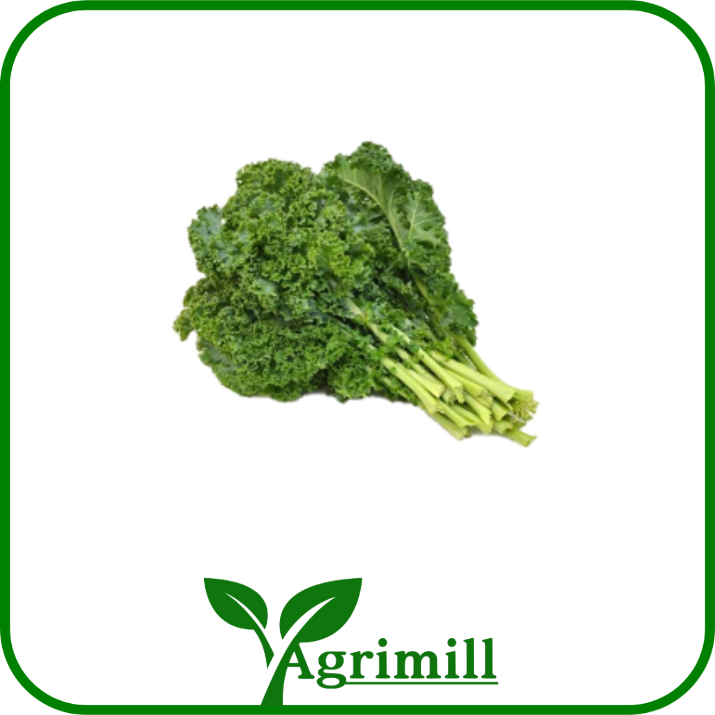 

Daun Kale