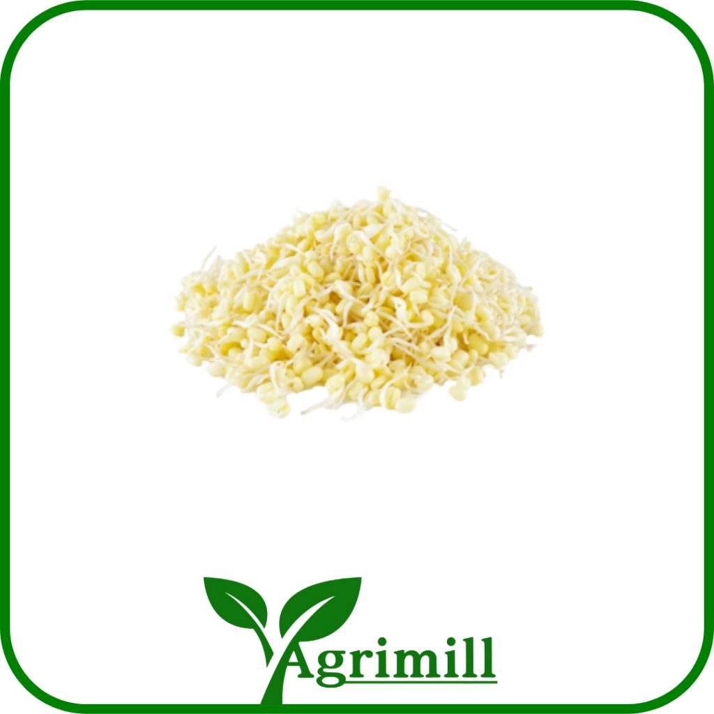 

Kecambah Pendek | Kecambah Rawon