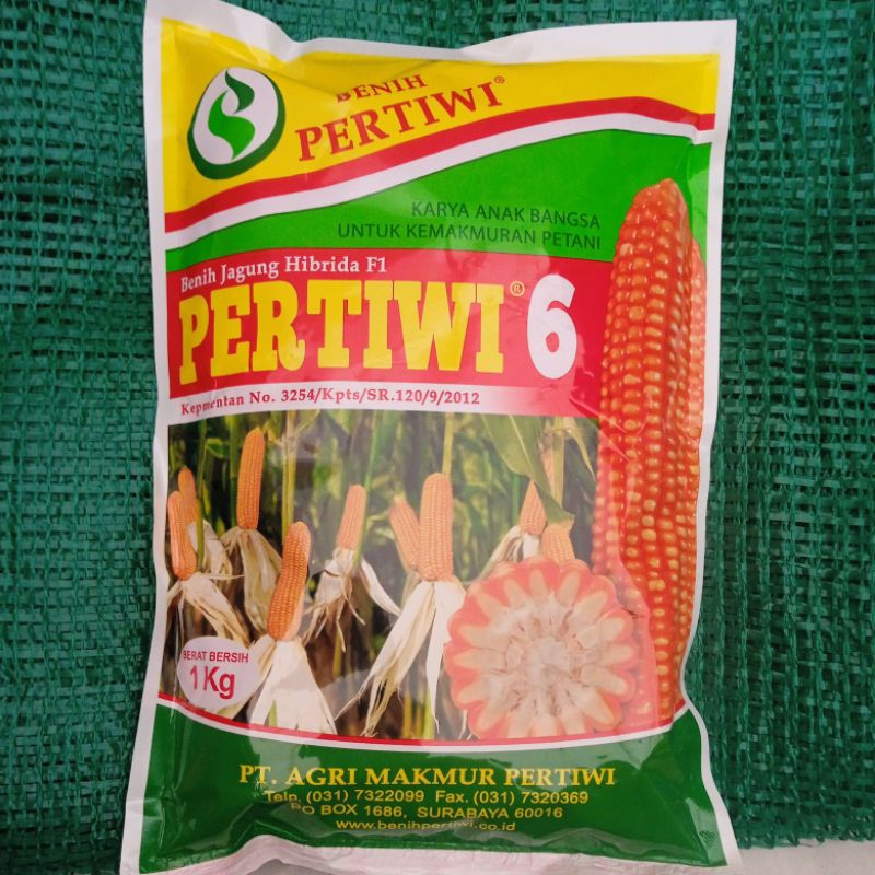 benih jagung Pertiwi 6 (1kg) benih jagung hibrida f1 pertiwi 6