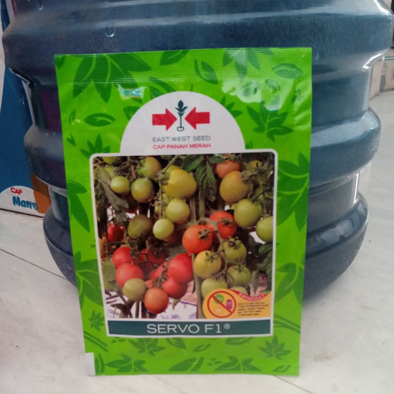 bibit tomat servo f1 isi ±1750 panah merah
