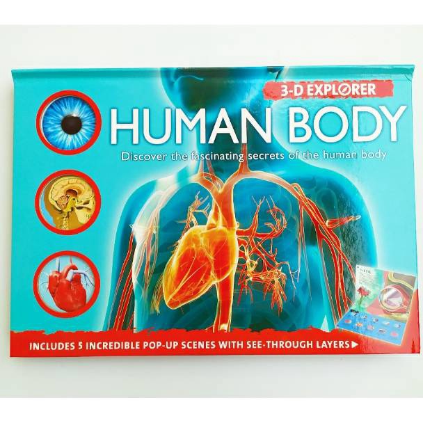 ART Q1H5 3D Explorer Human Body minor