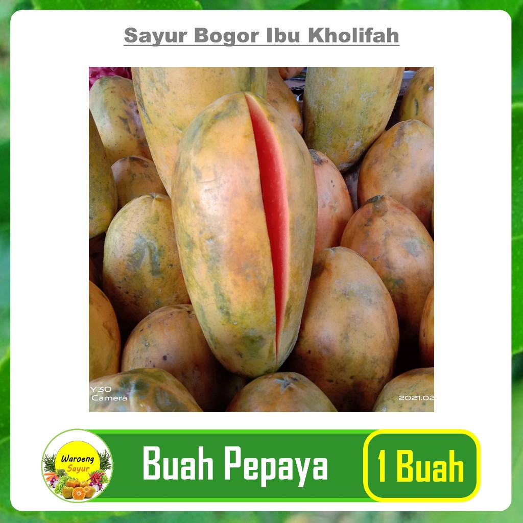 

Pepaya Manis Segar 1 Buah Buahan Segar Bogor