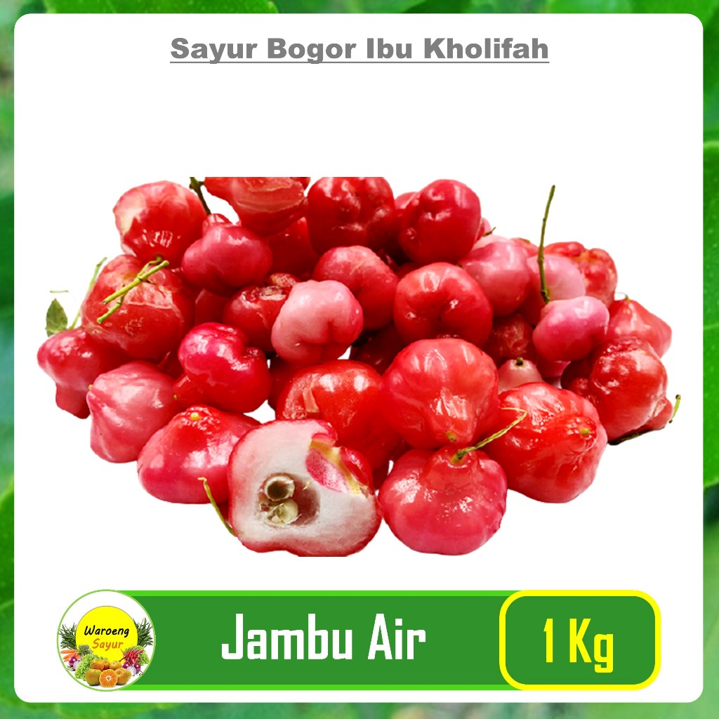 

Jambu Air Merah Segar 1kg Gram Buah Segar Bogor