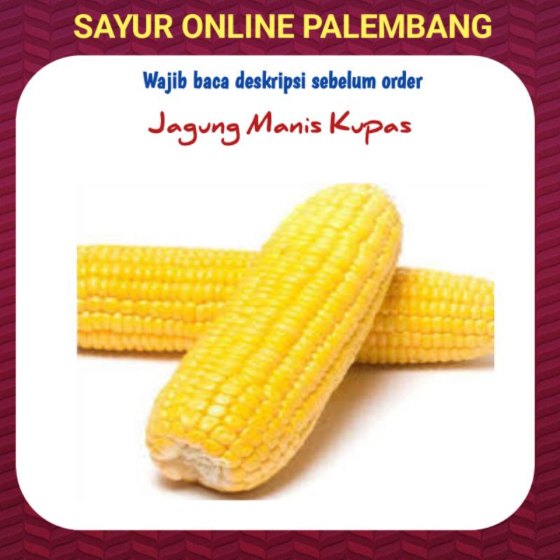 

Jagung Manis Kupas 1kg - Sayur Sayuran Segar Online Palembang