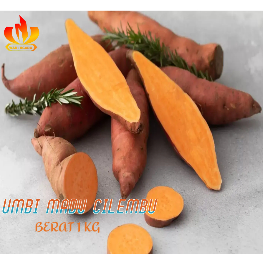 

Ubi Madu Cilembu Manis Mentah 1Kg Kualiatas Premium