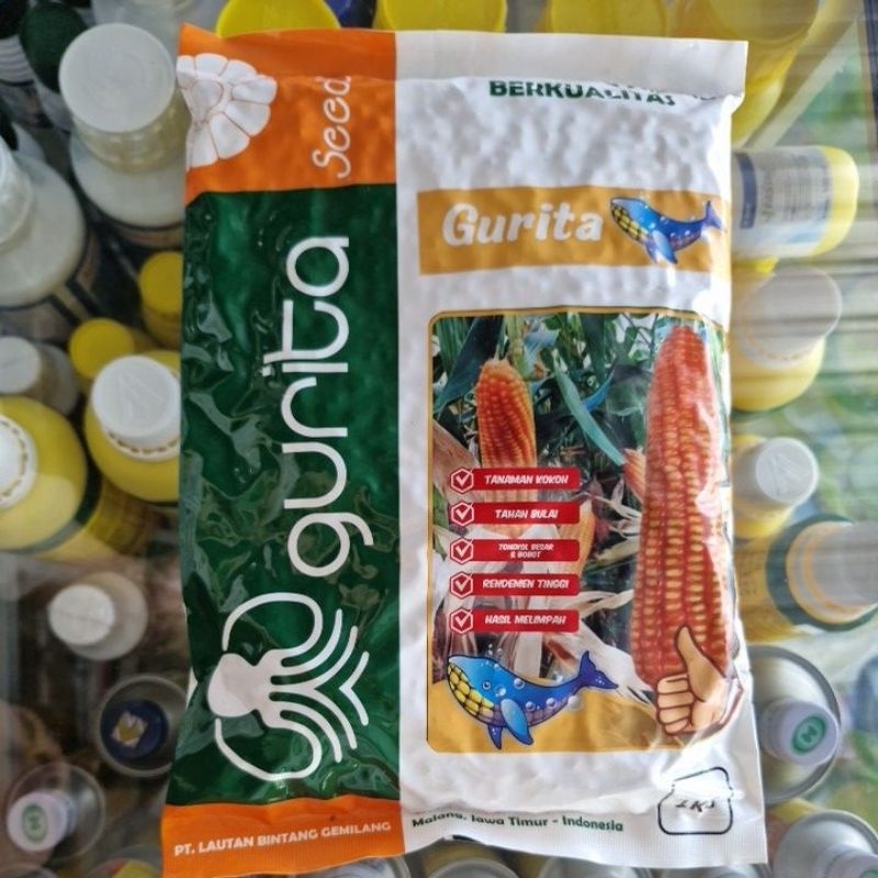 

Benih Jagung Hibrida GURITA - 1 KG Seperti NK 7328 SUMO