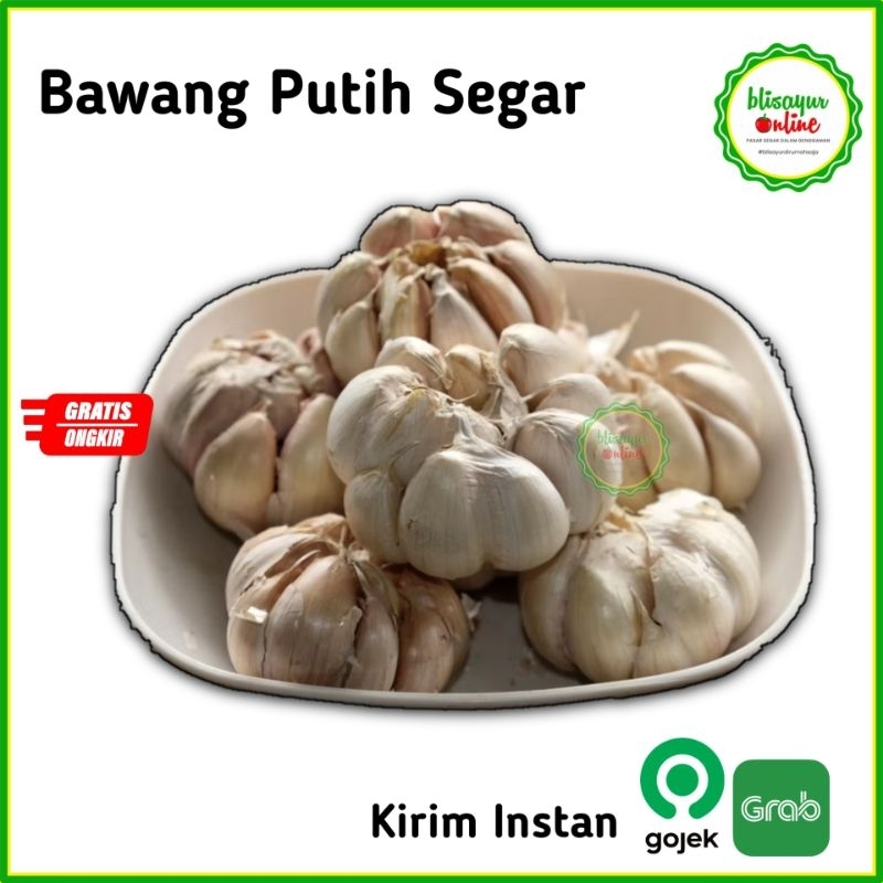 

Bawang Putih Segar Besar Kirim Instan Jabodetabek 250gr 500gr 1kg