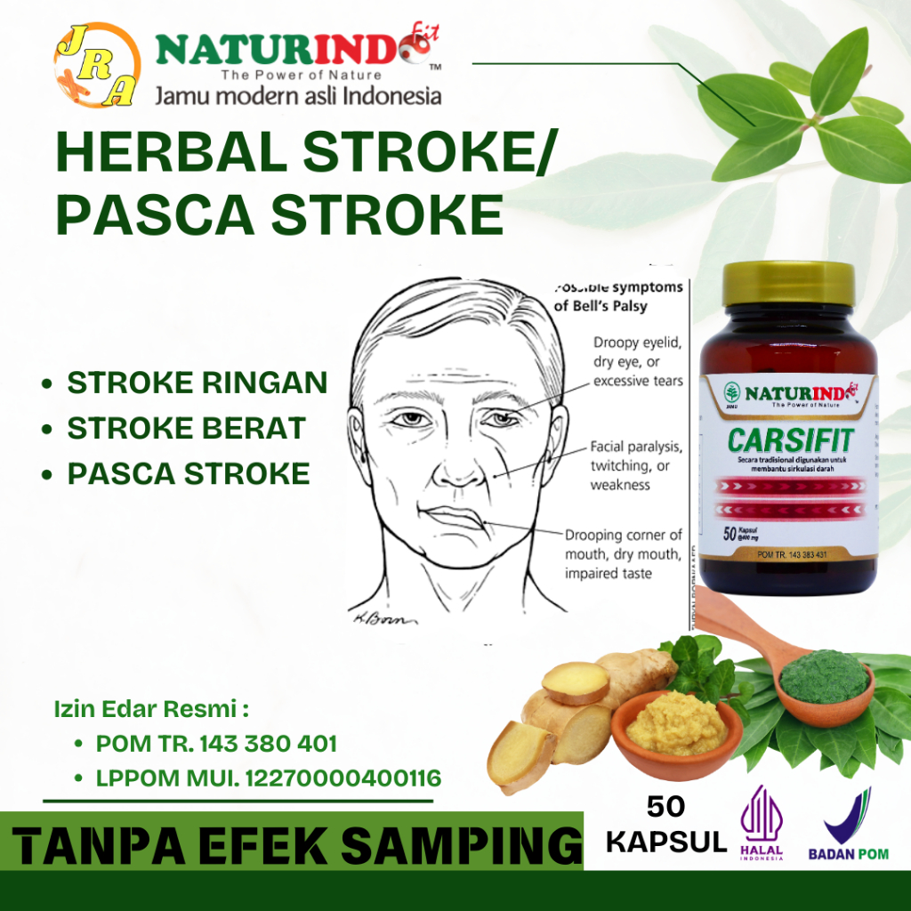 Obat Herbal Stroke Struk Ringan Berat Carsifit Naturindo