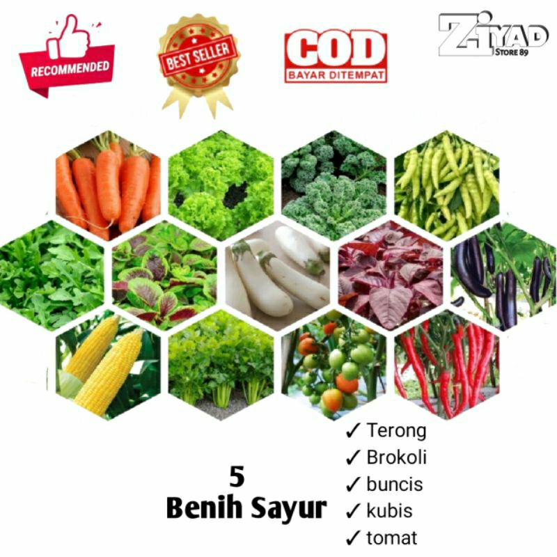 

benih 5 macam sayur mayur