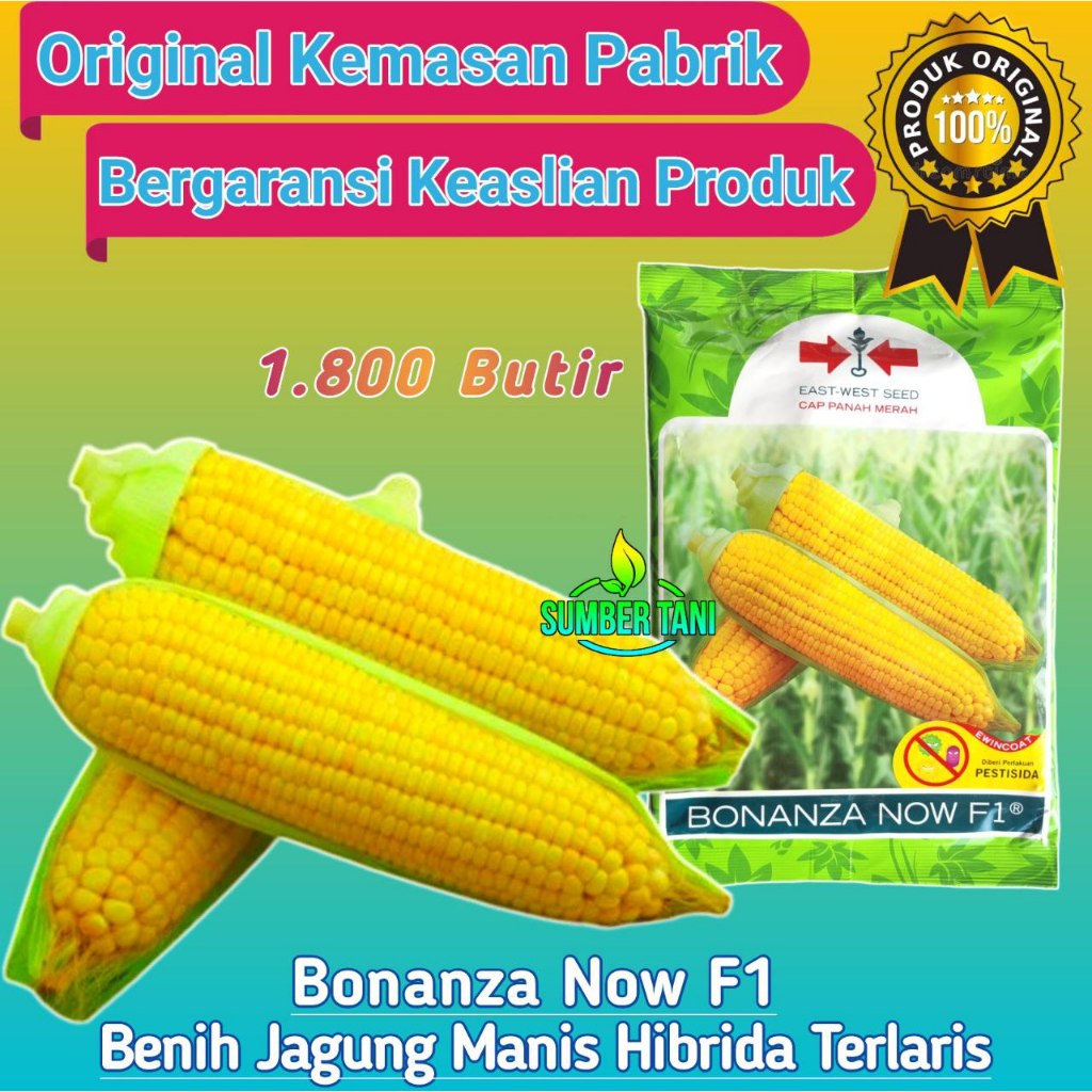 

Benih Jagung Manis Bonanza Now F1 | Isi 1800 Biji | Cap Panah Merah