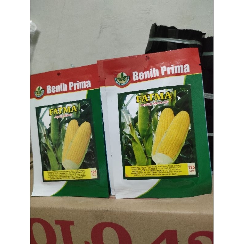 

jagung Fatma isi 125 butir
