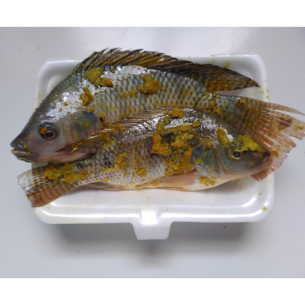 

Ikan Nila Segar 1Kg (1000 gr) - Bumbu Marirasa