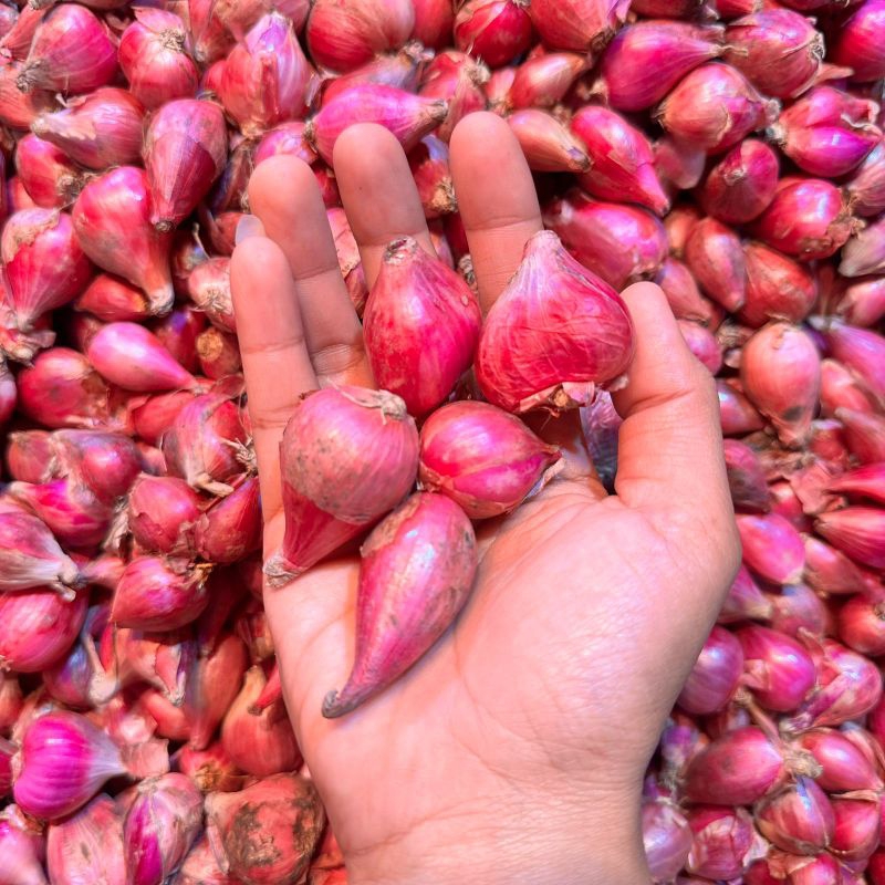 

SisumaFresh Bawang Merah Sedang Kecil 500 Gram