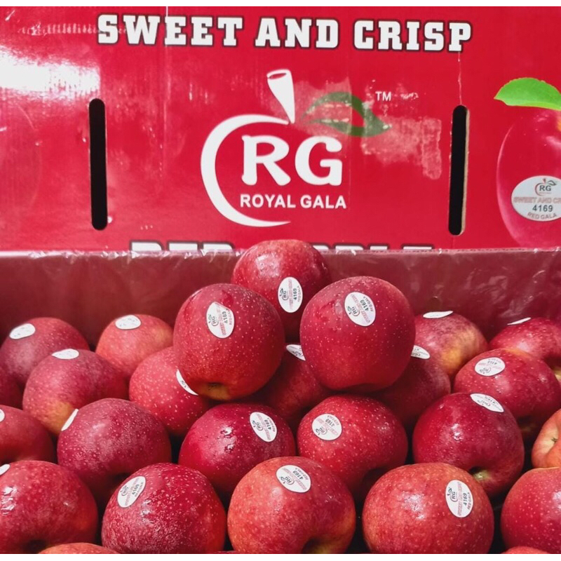 

Apel Royal Gala Rrc 1 Dus (17 KG) Fresh Import