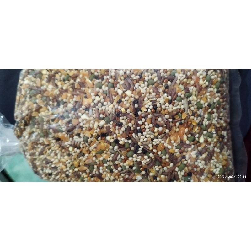 1KG PAKAN BURUNG PUTER DERKUKU TEKUKUR AYAM MILET PUTIH MILET KUNING KACANG HIJAU