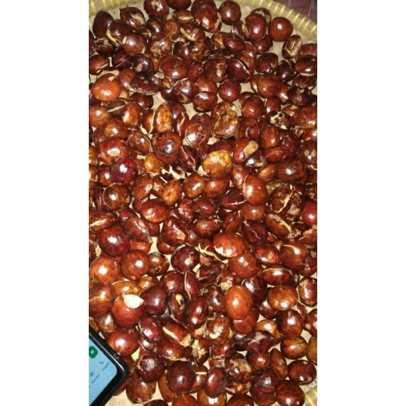 

bawang merah Brebes dan jengkol lampung