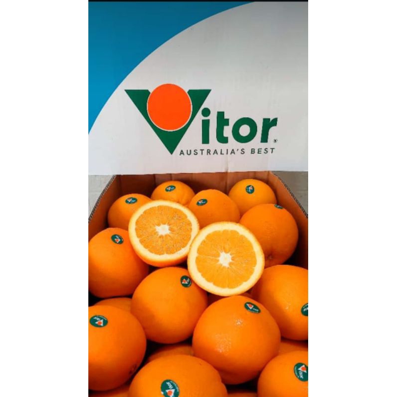 

Jeruk Navel Impor Impor 3 pcs fruits12