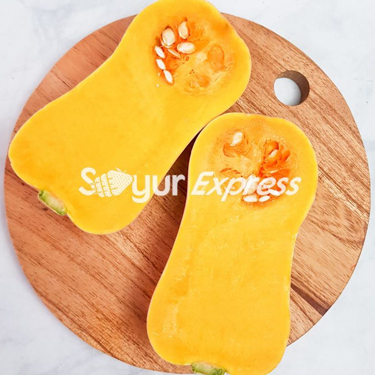 

Ready Terunik KIRIM INSTAN Labu Butternut 5gr