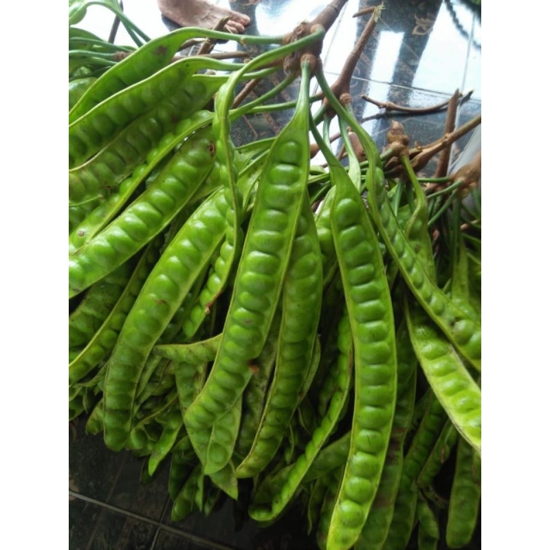 

pete super isi 5papan/pc/buah