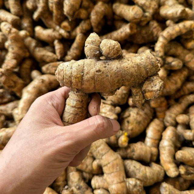 

Temulawak Super Malang (500gr) | Warung Super