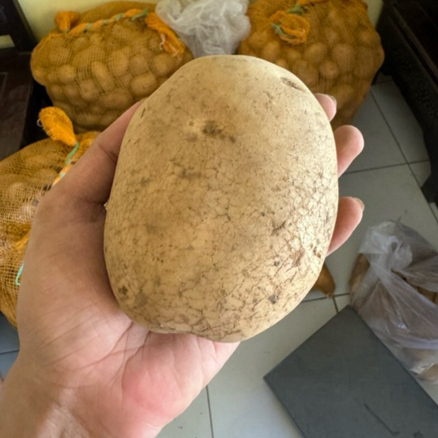 

Kentang Super Malang (1kg) | Warung Super