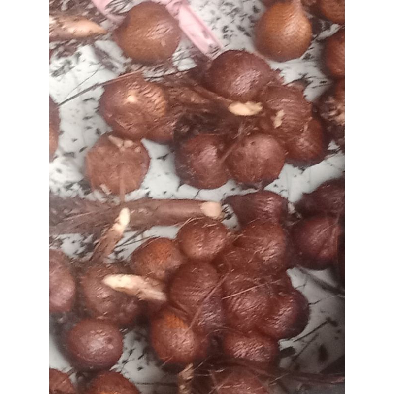 

salak gula pasir manis