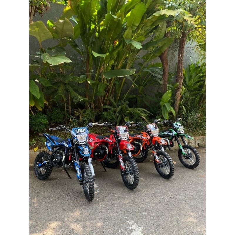 MINI TRAIL SKPRO 110cc MATIC/MANUAL PREMIUM QUALITY NEW