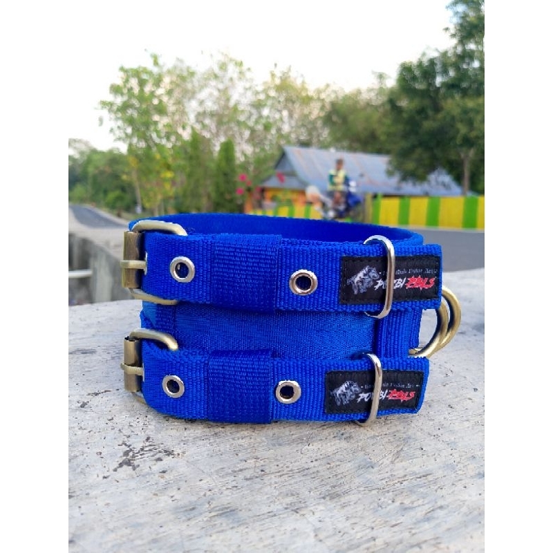 kalung pelindung leher pitbull dogo