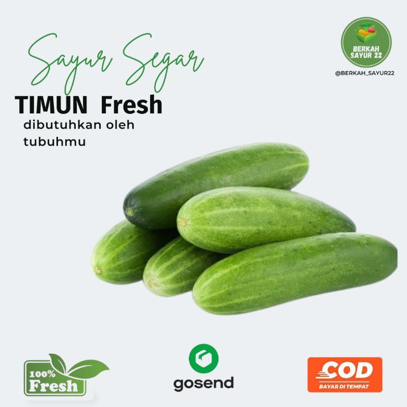 

BERKAH_SAYUR22 Timun Segar