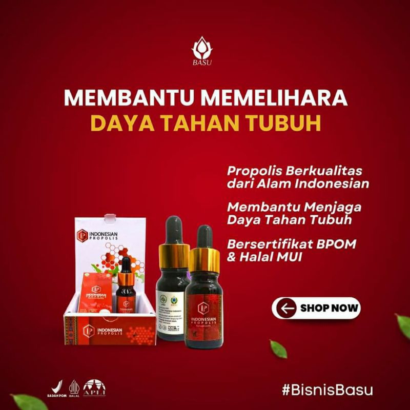 Indonesian propolis