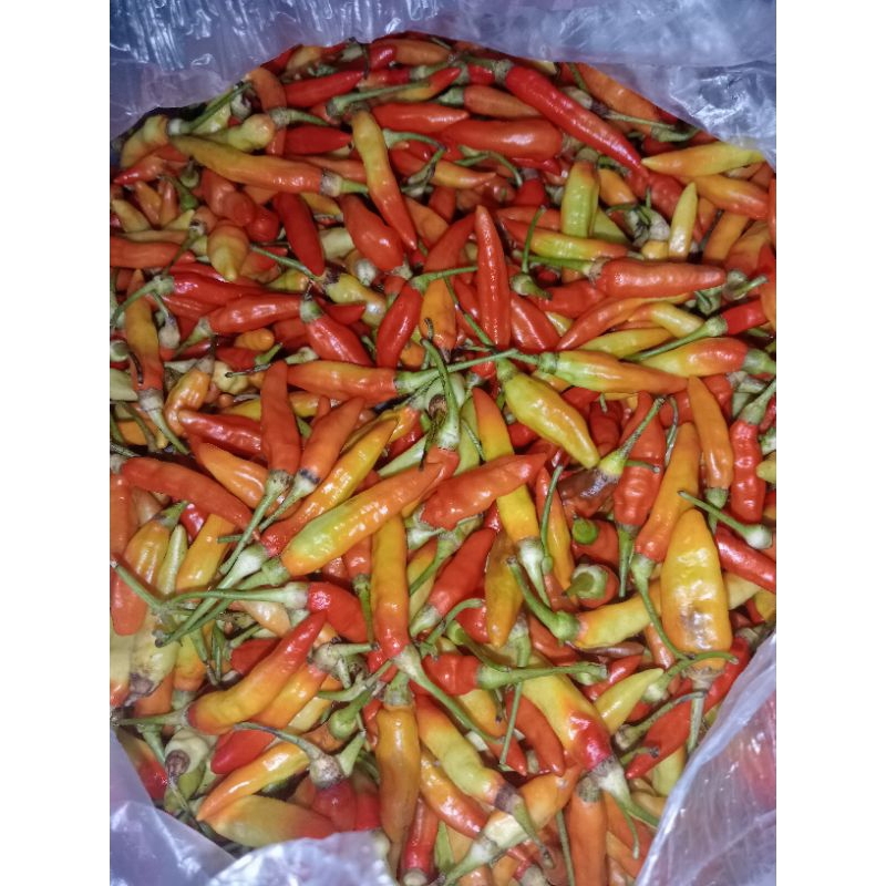 

cabe rawit merah berat 250g