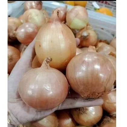 

BAWANG BOMBAY FRESH 1KG