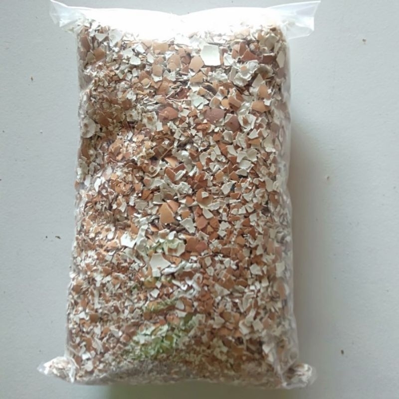 Kulit telur ayam / cangkang telur ayam