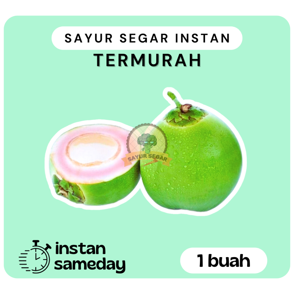

Kelapa Ijo 1buah