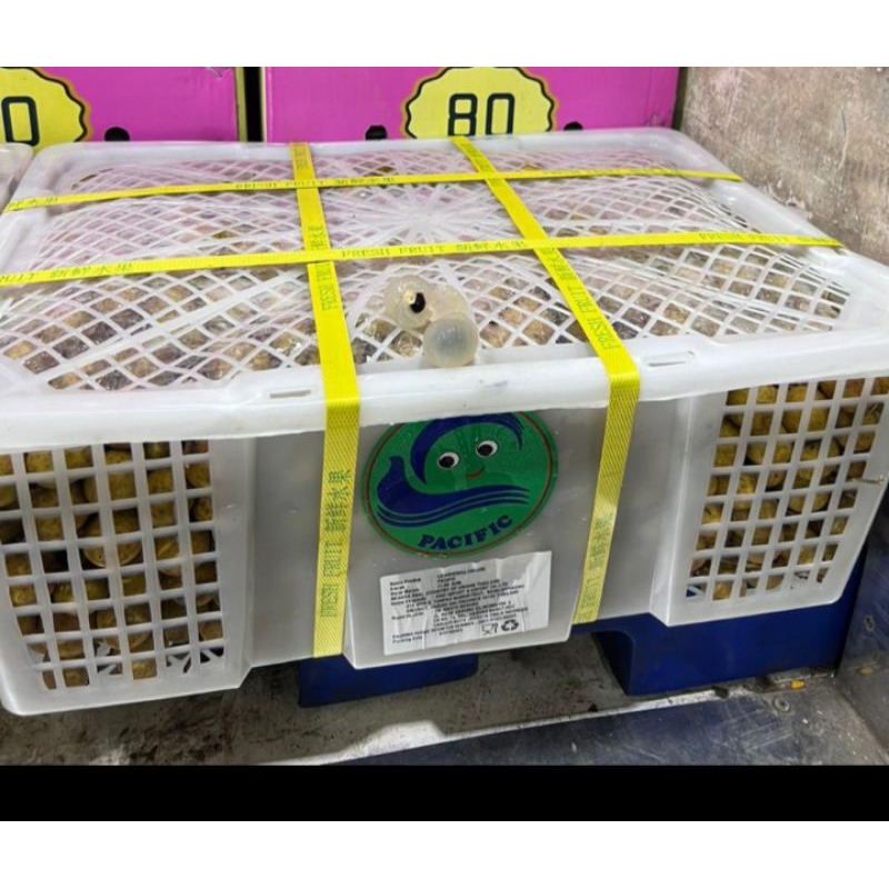 

Klengkeng Bangkok Pacific Stiker Hijau Jual per 1 BOK Krat