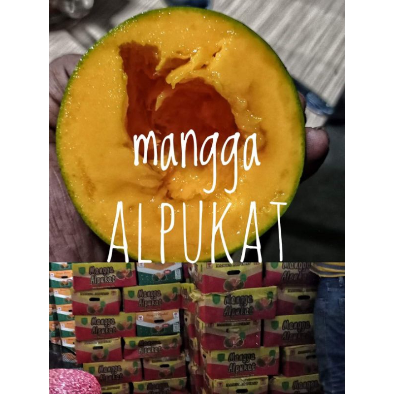

mangga alpukat 1kg