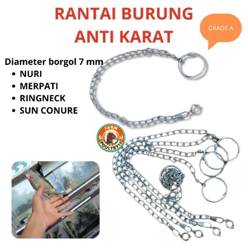 1 SET RANTAI BURUNG NO.7  ANTI KARAT 7MM RANTAI BURUNG NURI TANAU RANTAI BURUNG SUN CONURE BURUNG ME