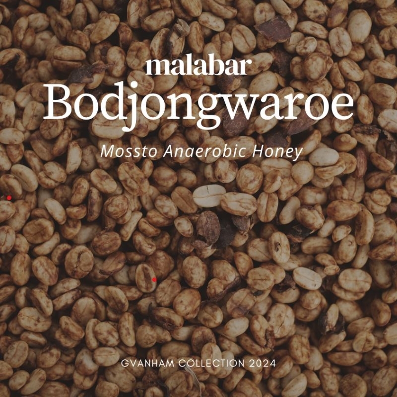 

Greenbeans Arabika Honey Anaerobic Mossto Bodjongwaroe