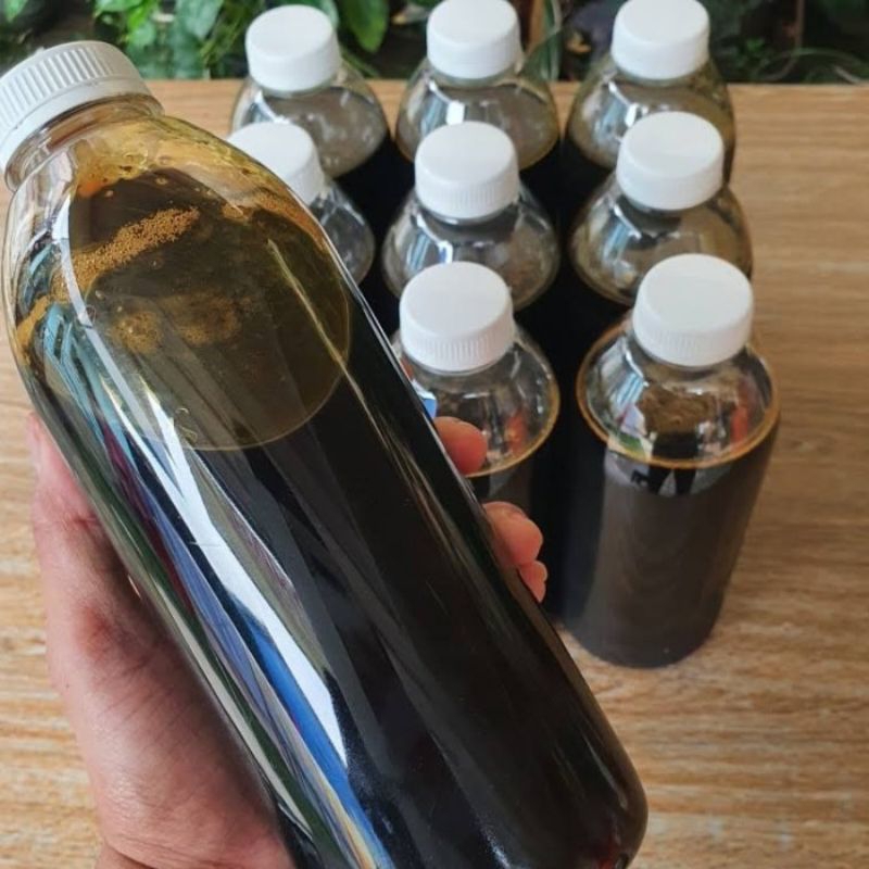 

JAMU PAHIT SAMBILOTO