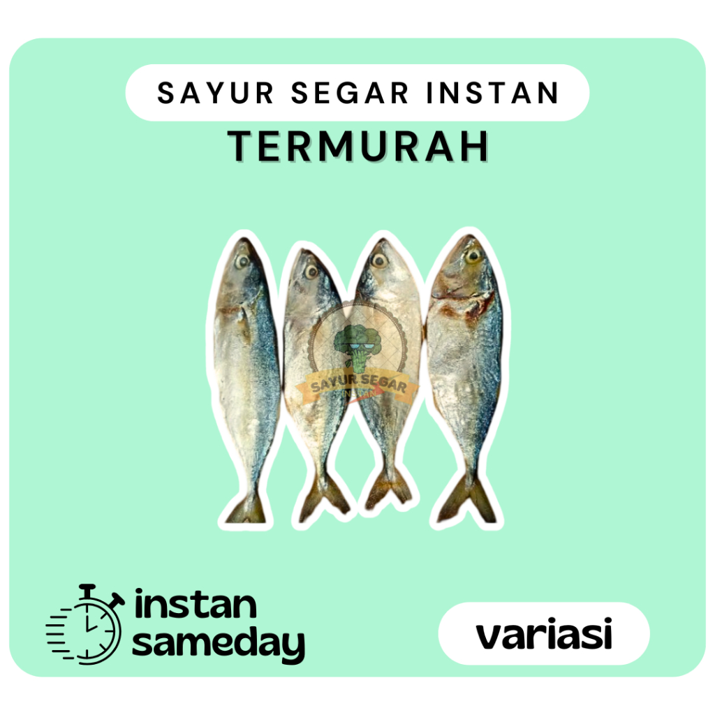 

Ikan Asin Peda Putih Enak