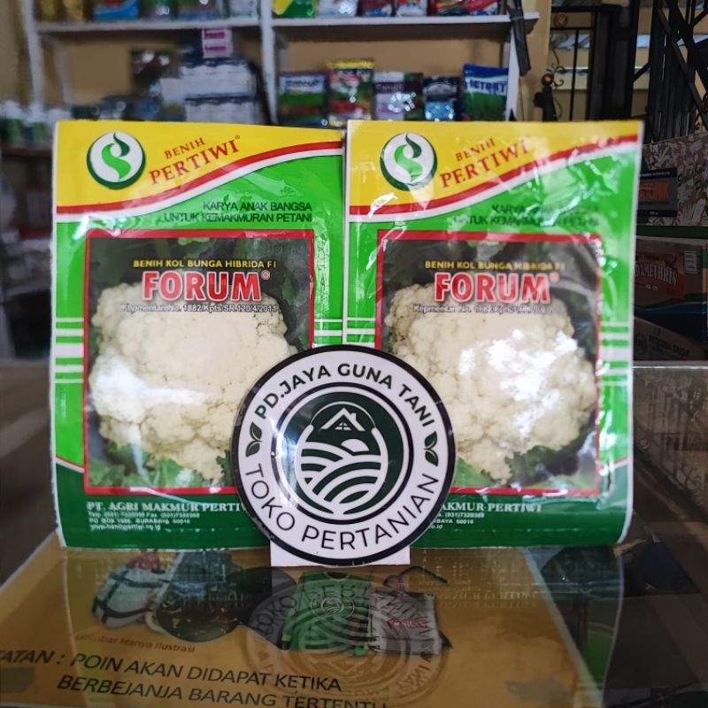 bibit/benih Forum bunga kol, burkol, kembang kol