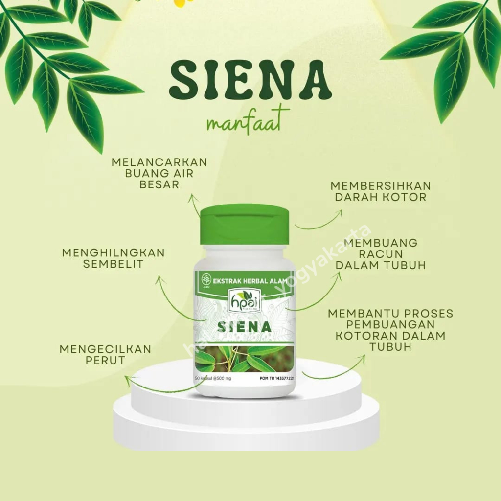 MEMBERSIHKAN DARAH KOTOR- SIENA