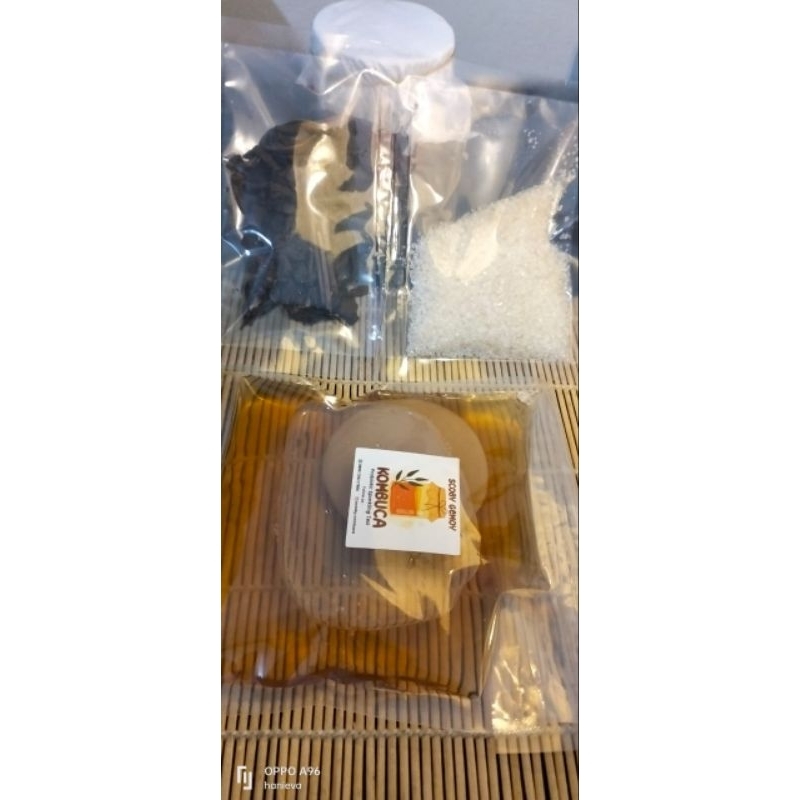 

bibit secoby kombuca gemoy