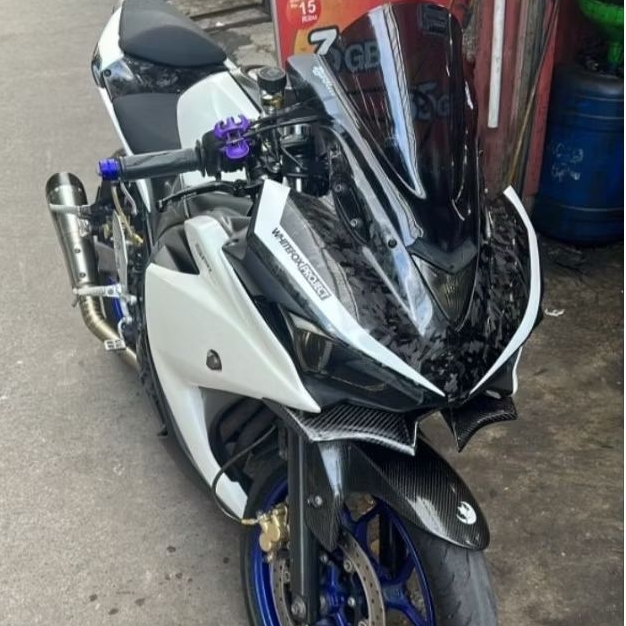 WINGLET R25 CARBON kevlar