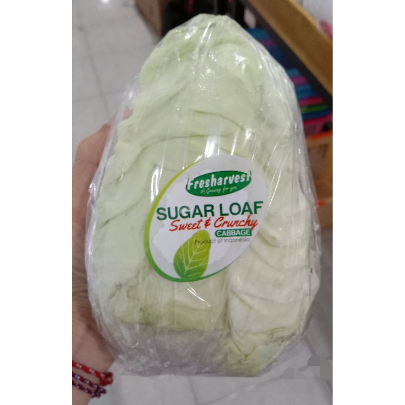 

Kol Sugar Loaf Cabbage