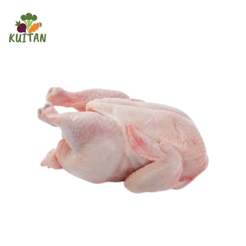

READY PAGI & SORE AYAM BEKU