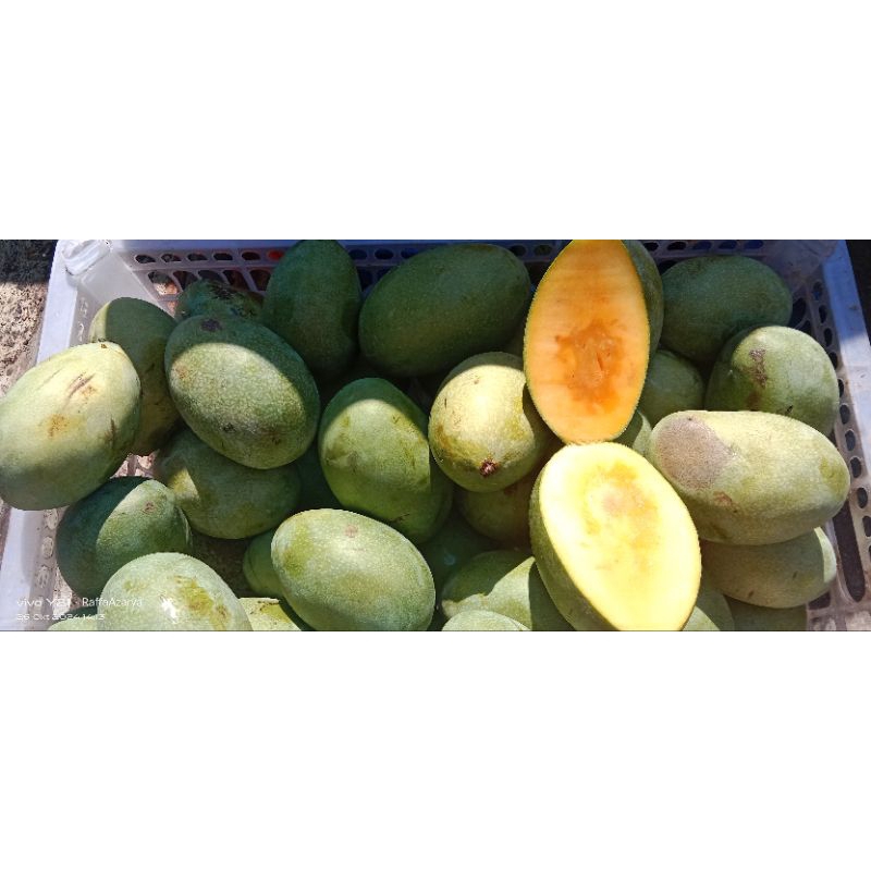

Mangga Manalagi 1kg