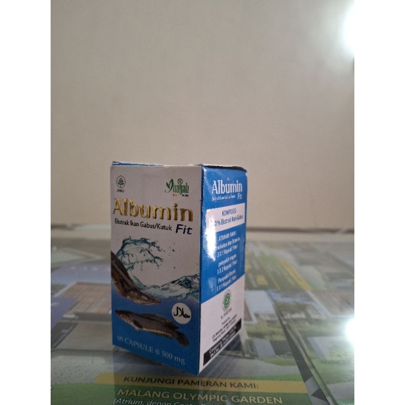 Albumin - Kapsul Ikan Gabus