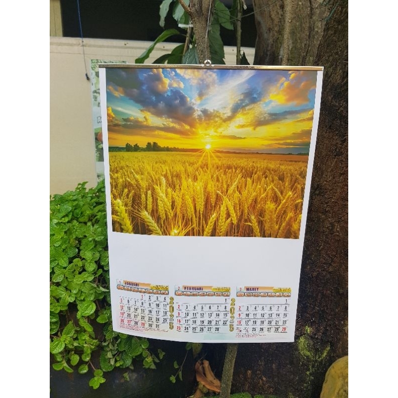

kalender dinding 2025 triwulan isi 4 lembar TRI